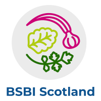 BSBI Scotland Logo